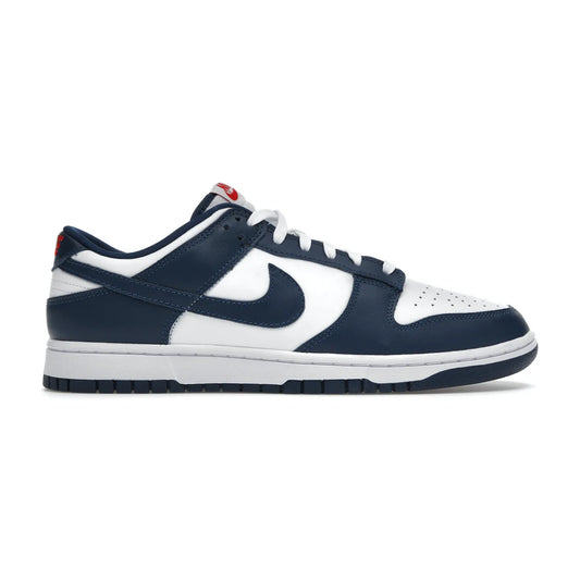 Nike Dunk Low Valerian Blue